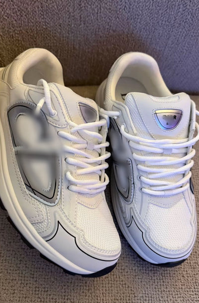 Dior B30 sneakers white